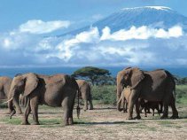 Exotické zájezdy a dovolená Tanzanie