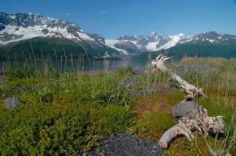 Aljaška - divoká, romantická, krásná! - USA - Aljaška