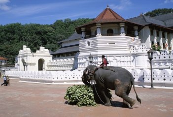 Amaya Hills Kandy - Srí Lanka - Kandy