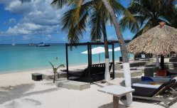 Talk of the Town - Aruba - Oranjestad
