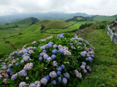Azorské ostrovy - magické místo, které navždy učaruje