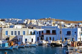 Co vyrostlo na sopce - Kyklady - Řecko