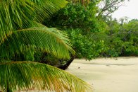Divoká příroda Austrálie a kouzelné pláže východního pobřeží - Austrálie