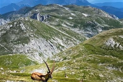 Fischbacherské Alpy MTB - Rakousko