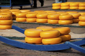 Holandská mozaika a trhy sýrů v Alkmaaru - Nizozemsko