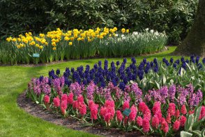 Holandsko, Velikonoce v zemi tulipánů - Nizozemsko
