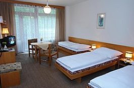 Hotel Fontána II - Česká republika - Luhačovice