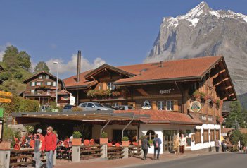 STEINBOCK - Švýcarsko - Berner Oberland - Grindelwald