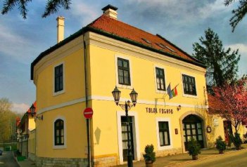 Hotel TOLDI FOGADÓ - Maďarsko - Miskolc