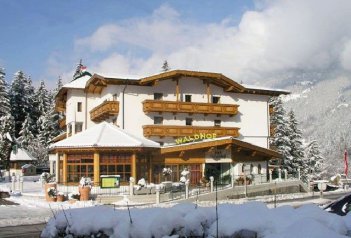 HOTEL WALDHOF - Rakousko - Ötztal - Sölden - Habichen
