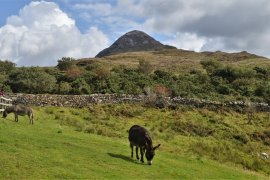 Irsko: Země keltských tradic - Irsko