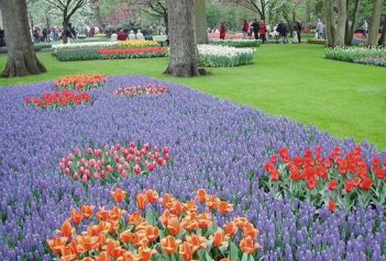 Jarní Holandsko s návštěvou květinového korza - Nizozemsko