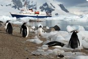 Klasická Antarktida - Antarktida