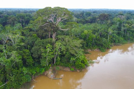 Kolumbie a Amazonie - Kolumbie