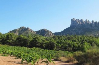Kombinovaný pobyt na Baleárských ostrovech - Mallorca a Menorca - Španělsko