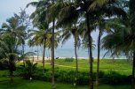 Longuinhos Beach Resort - Indie - Goa