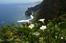 Madeira - jednodenní túry s horským přechodem - Portugalsko - Madeira 