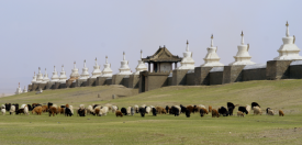 Mongolsko - země pastevců