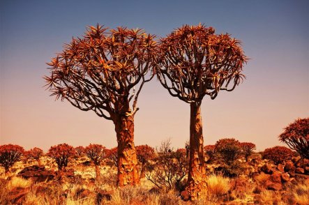 NAMIBIE - VZPOMÍNKY NA AFRIKU - Namibie