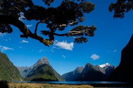 Nový Zéland - země dlouhého bílého oblaku