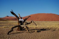 Objevování Namibie s návštěvou Jižní Afriky - Namibie