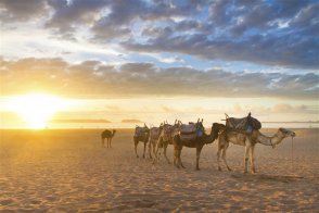 Okruh Marokem + výlet terénními auty do Sahary - Maroko