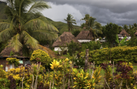 Ostrovy pod jižním křížem - Fidži