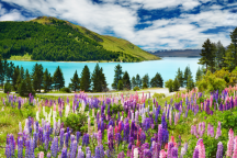 Příroda a hory Nového Zélandu - Nový Zéland