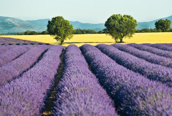 Provence - poznávací zájezd do jižní Francie - Francie