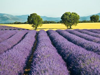 Provence - poznávací zájezd do jižní Francie