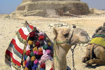 RAMSES 4 - Egypt