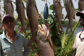 ﻿Rybolov v Kuear Saloum - Gambie