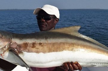 ﻿Rybolov v Kuear Saloum - Gambie