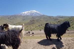 Skialpy na biblický Ararat - Turecko