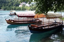 Slovinsko, Lehká turistika kolem Bledského jezera - Slovinsko - Jezero Bled