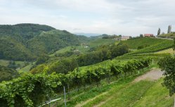 Štýrsko, vína a barevné termály - Rakousko