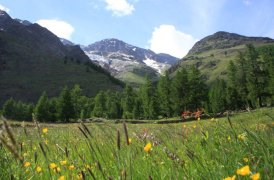 Švýcarský Wallis - pobyt s výlety vysoko v horách