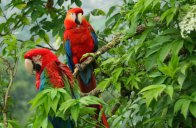 Tajemné krásy Kolumbie s výletem do Amazonie - Kolumbie