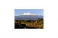 Tanzánie – Kilimandžáro výstup, safari, ostrov Zanzibar - Tanzanie