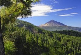 Tenerife - mezi sopkami a exotickými soutěskami