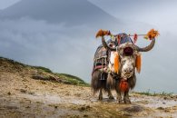 Tibet - za tajemstvím dalajlámů pod Střechu světa - Čína