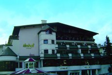 Top-Hotel Mein Almhof - Rakousko