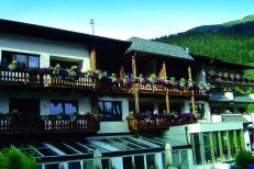 Top-Hotel Mein Almhof - Rakousko