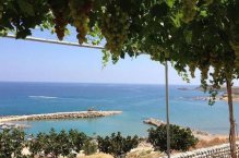 Toyki´s Bay Mavi Hotel - Kypr - Kyrenia