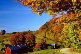 V záři barev podzimu - USA