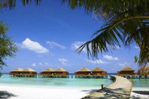 VELIGANDU ISLAND RESORT AND SPA - Maledivy - Atol Severní Ari