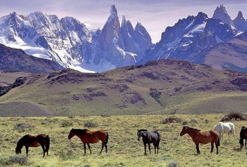 Velký okruh Argentinou s Patagonií - Argentina