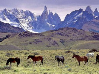Velký okruh Argentinou s Patagonií
