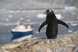 Výprava do Weddellova moře - Antarktida