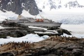 Výprava na Antarktidu: Klasické dobrodružství na lodi Ocean Diamond - Antarktida